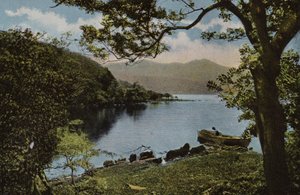 Dél-Írország: Innisfallen, Killarney (színes fotó) alkotó: Photographer Irish