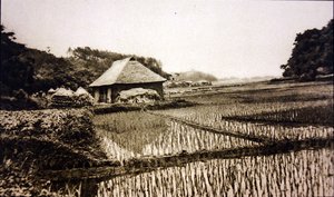 Rizsföldek Japánban alkotó: Photographer Japanese
