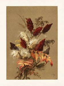 Sumac és tejfű – Ellen Thayer Fisher alkotó: Pictufy