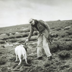 11. Devonshire hercege a nyírfajd hajtásán a Bolton Abbeyben alkotó: Blaise Nicolas Le Sueur