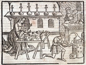 Gyógyászat a növényeken és erényeiken keresztül – Pierre de Crescent, Párizs "" Vidéki és vidéki profitok" című könyvében alkotó: Piero da Crescentino