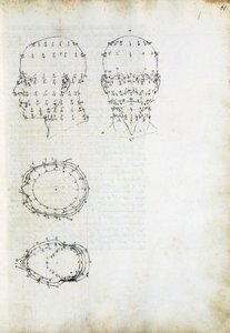 A fej felépítése és geometriai vetülete, oldal a De Prospectiva pingendi-ből (A festészet szemszögéből), Piero della Francesca (kb. 1415-1492), Olaszország alkotó: Piero della Francesca