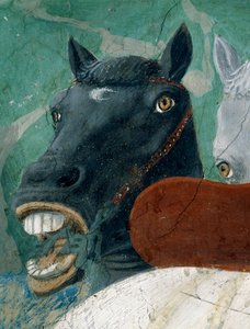 Az igaz kereszt legendája, Salamon király Sába királynőjének fogadása, egy ló részlete, elkészült 1464-es freskó