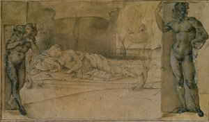 Ariadne Deserted (ceruza) alkotó: Piero di Cosimo