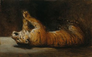 Playing Tiger (olaj, vászon)