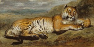 Tigrispihenő, c. 1830.
