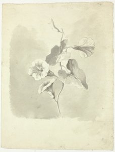 Reggeli dicsőség alkotó: Pierre Antoine Mongin