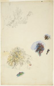 Fák és lombozat tanulmányozása alkotó: Pierre Auguste Renoir