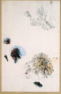 Fák tanulmányozása alkotó: Pierre Auguste Renoir