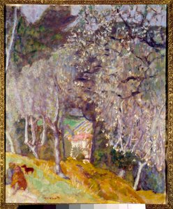 Ház az olajbogyókban alkotó: Pierre Bonnard