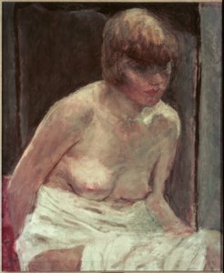 Fehér fürdőköpenyben fiatal nő törzse alkotó: Pierre Bonnard