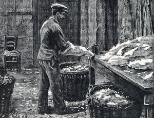 Bőr: nyúlbőr hasítása bőr készítéséhez Gravírozás a Pierre Calmette magángyűjtemény „Excursion a travers les metiers” című könyvéből alkotó: Pierre Calmettes