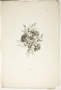 Csokor szegfűvel, a Különféle virágcsokrok gyűjteményéből, Jean Pillement találta ki és rajzolta, és P. C. Canot gravírozta alkotó: Pierre Charles Canot
