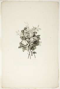 Csokor rózsákkal, a Különféle virágcsokrok gyűjteményéből, Jean Pillement találta ki és rajzolta, és P. C. Canot gravírozta
