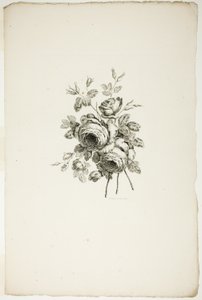 Csokor rózsákkal, a Különféle virágcsokrok gyűjteményéből, Jean Pillement találta ki és rajzolta, és P. C. Canot gravírozta alkotó: Pierre Charles Canot