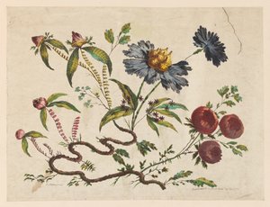 Nyomat, Virágágak, a "Recueil de Differentes Fleurs de Fantaisie Dans le Goűt Chinois" című kötetből. alkotó: Pierre Charles Canot
