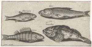 Ponty, menyecske, harcsa és sügér Horgászat (sorozat címe) Piscium vivae ikonok (sorozat címe)