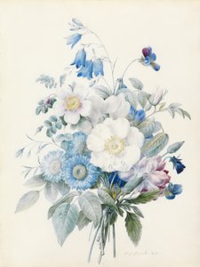 Kék asztrik, rosa spinosissima (hibrid), harangvirág, violák, szegfű és vadrózsa. alkotó: Pierre Joseph Redouté