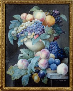 Trauben in einer Schale von Pierre Joseph Redouté
