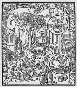 November, a disznó leölése és a makk betakarítása, Skorpió, illusztráció az „Almanach des Bergers”-ből, 1491 (xilográf)