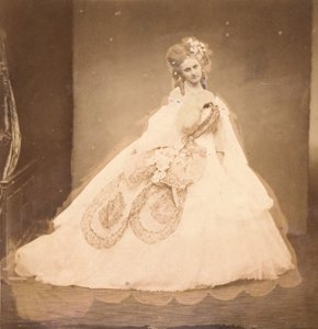 A Bisi. Budoár, szürke bársonyruha, rózsaszín moire, rózsaszín virágok, szürke levelei a mai,..., 1860-as évek. alkotó: Pierre Louis Pierson