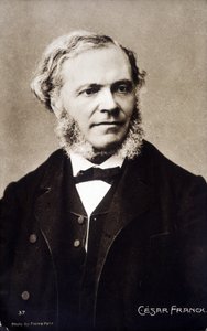César Franck belga származású francia zeneszerző és orgonaművész (1822-1890) portréja.