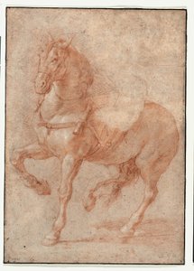 Bucephalus tanulmánya az "Alexander és Diogenész" reliefhez alkotó: Pierre Puget