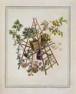 Kerti textilterv a Work-ből, amely trófeák, attribútumok, kartonok, vázák, virágok, dísztárgyak gyűjteményét és számos kellemes rajzot fotelek hímzéséhez tartalmaz, Etienne C gravírozásával