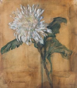 Krizantém alkotó: Piet Mondrian