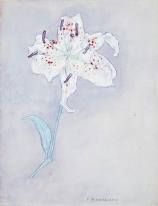 Liliom, 1920-25 körül (akvarell, papír) alkotó: Piet Mondrian