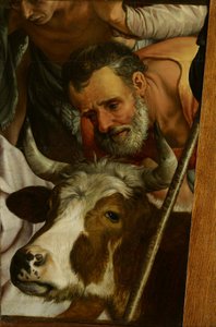 A pásztorok imádása (töredék) alkotó: Pieter Aertsen