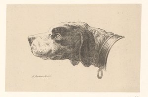 Kutyafej nyakörvvel alkotó: Pieter Bartholomeusz. Barbiers
