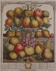 December, a „Tizenkét hónap gyümölcsök” című művéből, Robert Furber (kb. 1674-1756), metszett Henry Fletcher, 1732 (színes metszet)