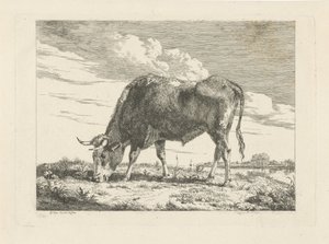 legelő tehén alkotó: Pieter Gerardus van Os