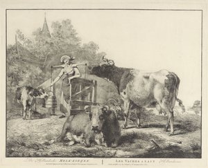 Tehenek és egy fejőslány De Hollandsche Melk-koeijen/ Les vaches â lait hollandaises (cím a tárgyon)