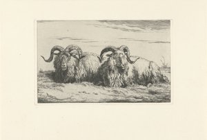 Két fekvő kos Birkák és kecskék (sorozat címe) alkotó: Pieter Gerardus van Os