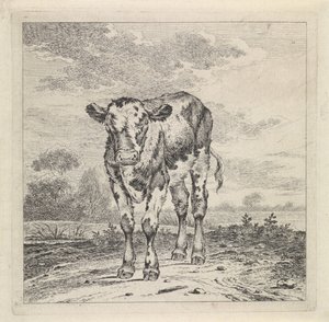 Táj borjúval alkotó: Pieter Janson