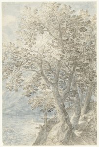 Fák a meredek sziklafalnál alkotó: Pieter Stevens (I)