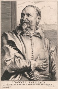 Joannes Snellincx, Antwerpen emberalakjainak festője