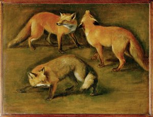 A fox (festmény vászonra) alkotó: Pieter or Peter Boel