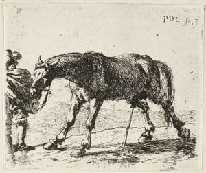 Pisilő ló