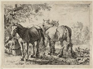 Három ló a mezőn alkotó: Pieter van Laer