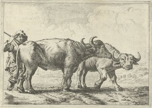 Két bivaly és egy pásztor alkotó: Pieter van Laer