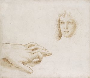 Fej és kéz tanulmányozása (toll és ecset világosbarna tintával fémhegyen fehér papíron) alkotó: Pietro (circle of) Perugino