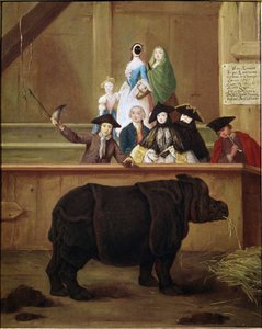 Orrszarvú: Clara, indiai orrszarvú kiállítása. Pietro Longhi (1702-1785) festménye. 1751. 18. századi velencei múzeum. Ca 