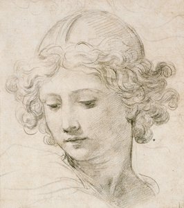 Egy angyal feje, balra néz alkotó: Pietro da Cortona