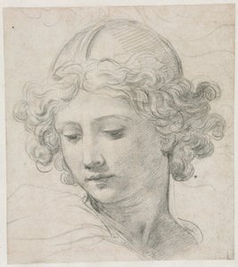 Tanulmány a Szent Mihály fejéhez, 1633. alkotó: Pietro da Cortona
