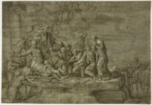 A Pásztorok imádata alkotó: Polidoro da Caravaggio