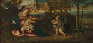 Madonna és gyermeke és a Szent János csecsemő egy tájképben alkotó: Polidoro da Lanciano