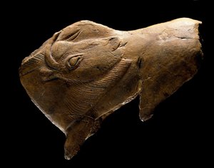 Bölény felkelés (Rénszarvasfából készült szobor a dordognei Madeleine menedékéből. Kr.e. 11000) alkotó: Prehistoric Prehistoric